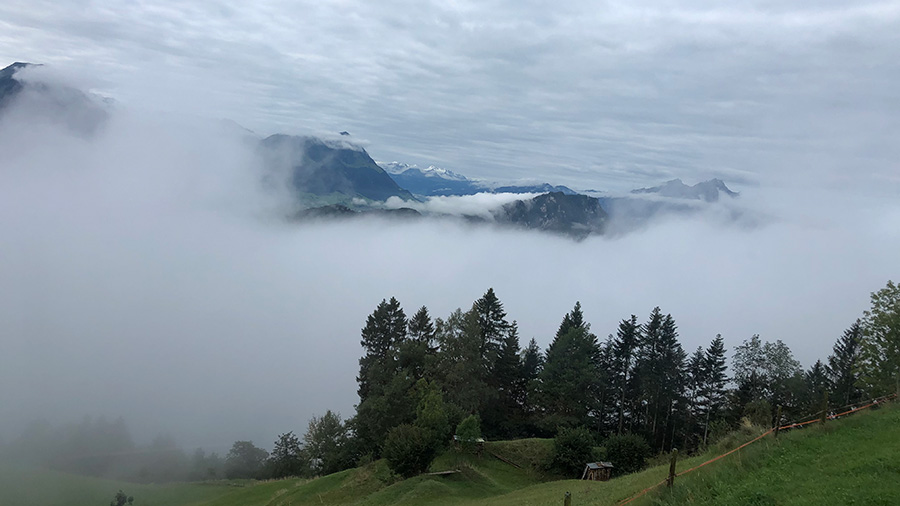 19. MDAG: Psychodeliczny klasztor