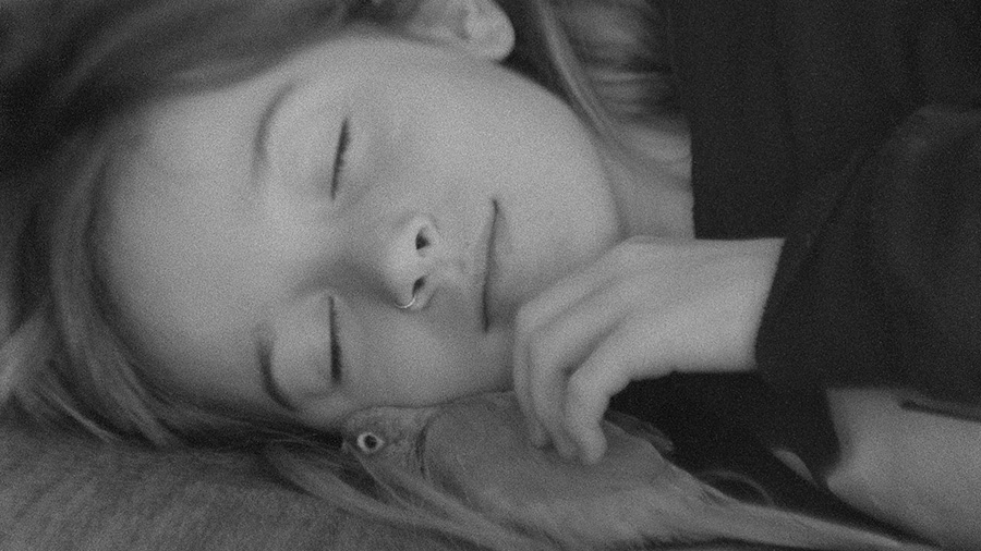 19. MDAG: Konkurs Filmów Krótkometrażowych BLOK I