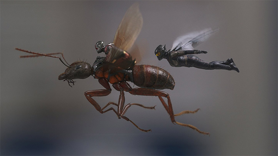 Ant-Man i Osa - dubbing