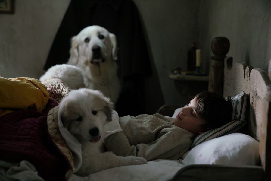 Bella i Sebastian 3 - dubbing