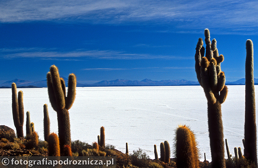 Spotkania podróżnicze In Mundo: Na andyjskich ścieżkach – Boliwia, Chile, Peru