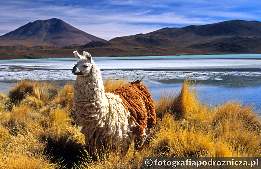 Spotkania podróżnicze In Mundo: Na andyjskich ścieżkach – Boliwia, Chile, Peru