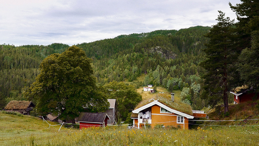 18. MDAG: Podróż do zielonej utopii