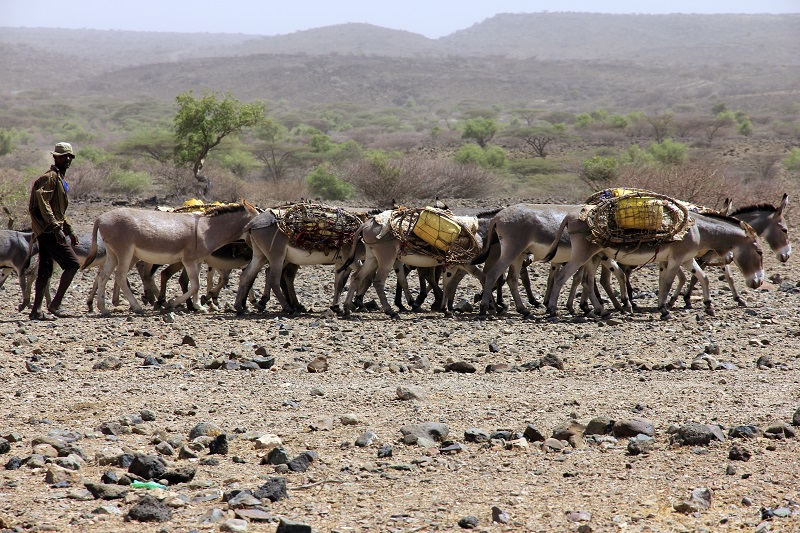 Slajdy podróżnicze: Kenia – serce Afryki bije nad Turkana. Ania i Darek Piech