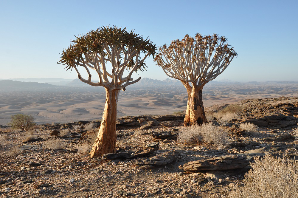Slajdy podróżnicze: NAMIBIA – Iwona i Jurek Maronowscy