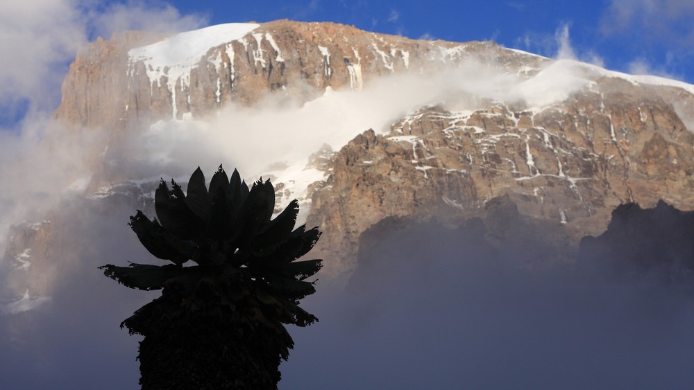 Slajdy Terra Incognita: Od śniegów Kilimandżaro do plaż Zanzibaru