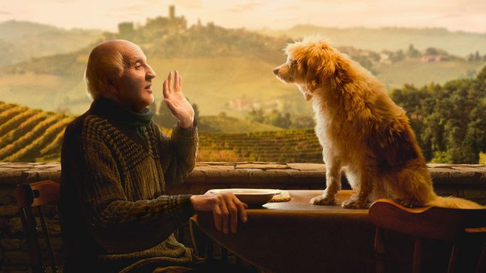 Kino z Pasją: Truflarze