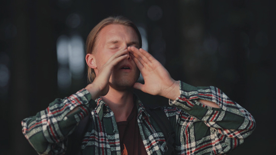 18. MDAG: Wilki u bram